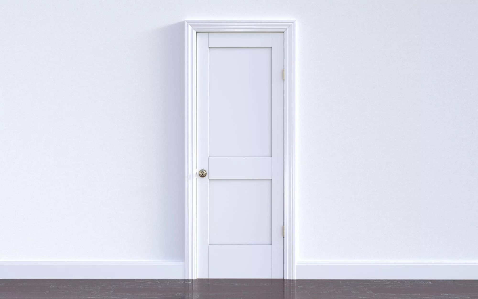 Panel Door